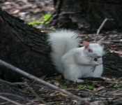 2016 06 11 WildLife MPLS 099
